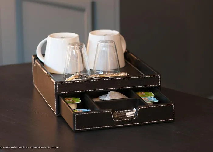 拉皮提特佛利酒店 3*